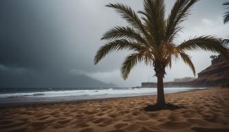 Gran Canaria Wetter im Dezember: Ein Klima-Überblick