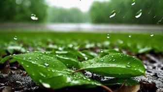 Petrichor Bedeutung: Der faszinierende Duft des Regens und seine Entstehung